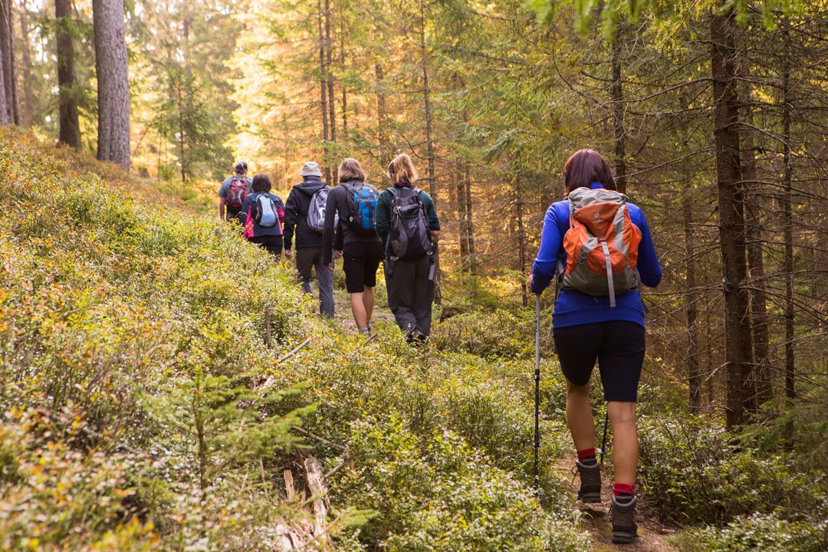 Trasa Luzenské údolí | pruvodci divocinou 01